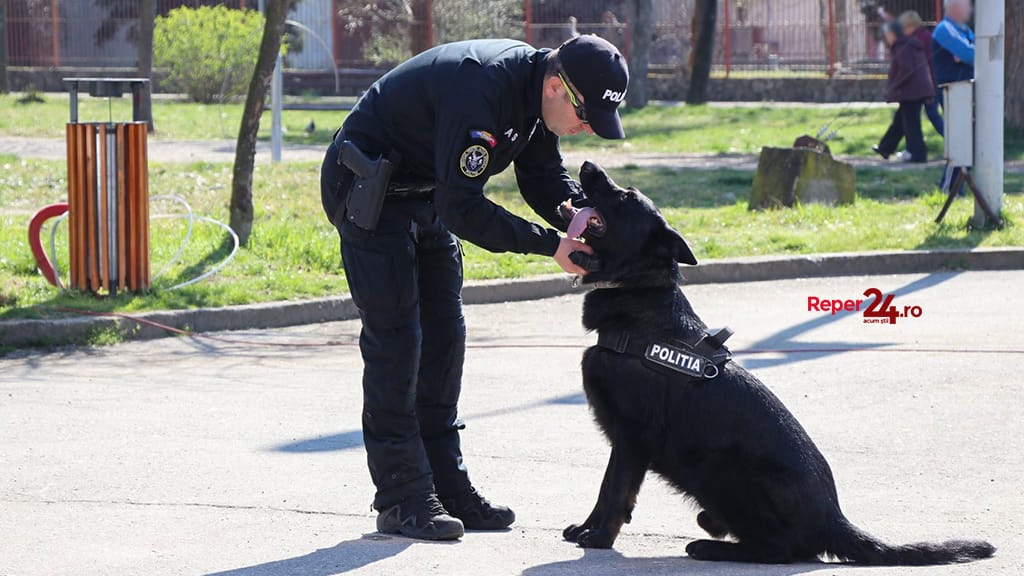 polițiști - Ziua Poliției