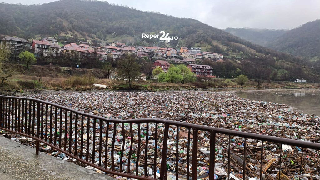 deseuri golful cernei