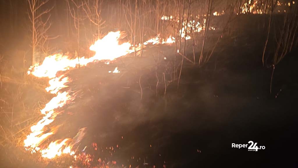 incendii 200 de hectare