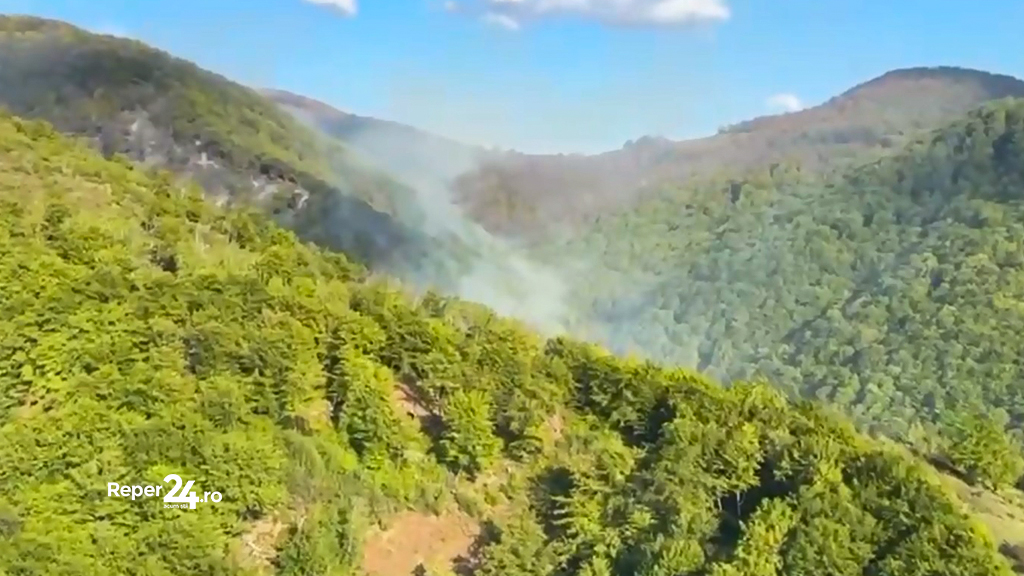 incendii 100 de hectare