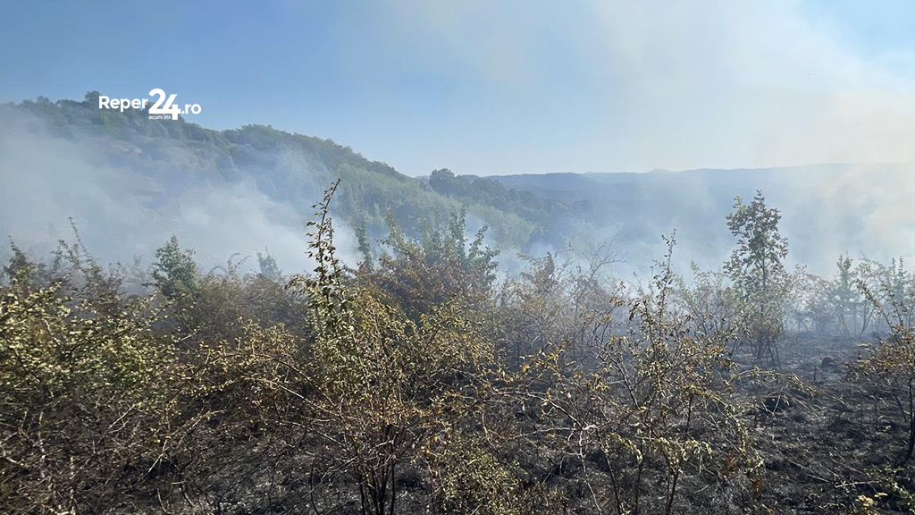 incendiu de vegetație