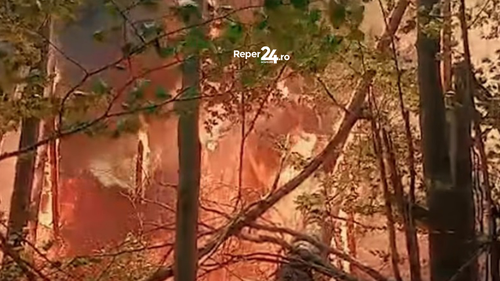 incendii caras-severin 2 pompierii cărășeni