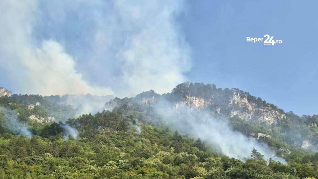incendiu Domogled
