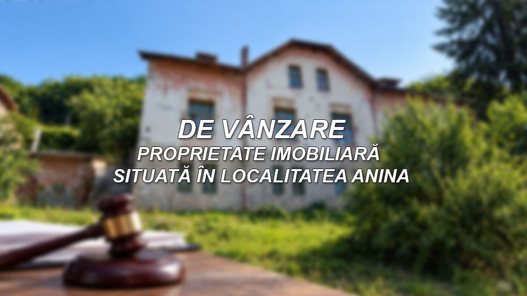 anina-serviciielectricebanat