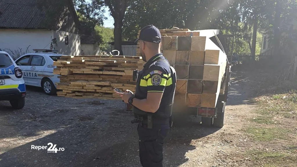controale silvice ipj controale silvice ipj