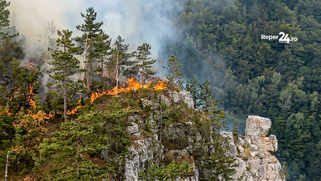 incendiu herculane incendii peste 400 de hectare