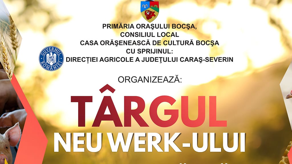 Târgul Neu Werk-ului